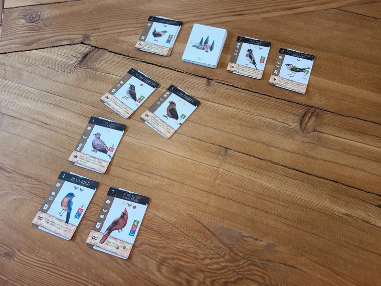 Birdscaping bird cards laid out on a wooden table.